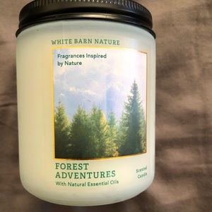 Bath and body works forest adventure single wick candle